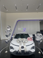 VinFast VF6 Eco 2025 mới