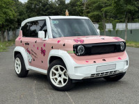 VF3 sx 2024 Thuê pin 900k/tháng, odo 3300 km