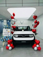 Duy nhất 1 xe Vf3 Trắng vin25