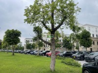 VinFast VF8 Eco 2023 cũ - 25000 km