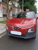 Chính chủ cần bán VinFast Herio Green 2025 - 11100 km