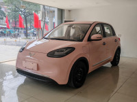 🚗 Wuling Bingo 410km Max – Hồng Sakura 🌸