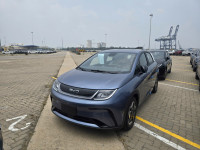 BYD Dolphin 2026 - Bản Mới  🔥 🔥