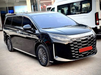 BYD M9 pre 2025 - 2500 km