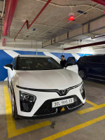VinFast VF7 2024 Eco - 8000 km