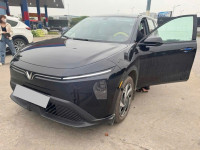 VinFast Limo Green 2025 - 14000 km