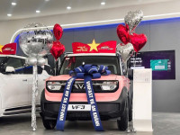 🌸 VF3 Plus  – Màu Hồng Cá Tính | Ưu đãi đến 13% ⚡