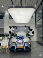 🛵 [SẴN XE GIAO NGAY] VINFAST LIMO GREEN – ƯU ĐÃI✨