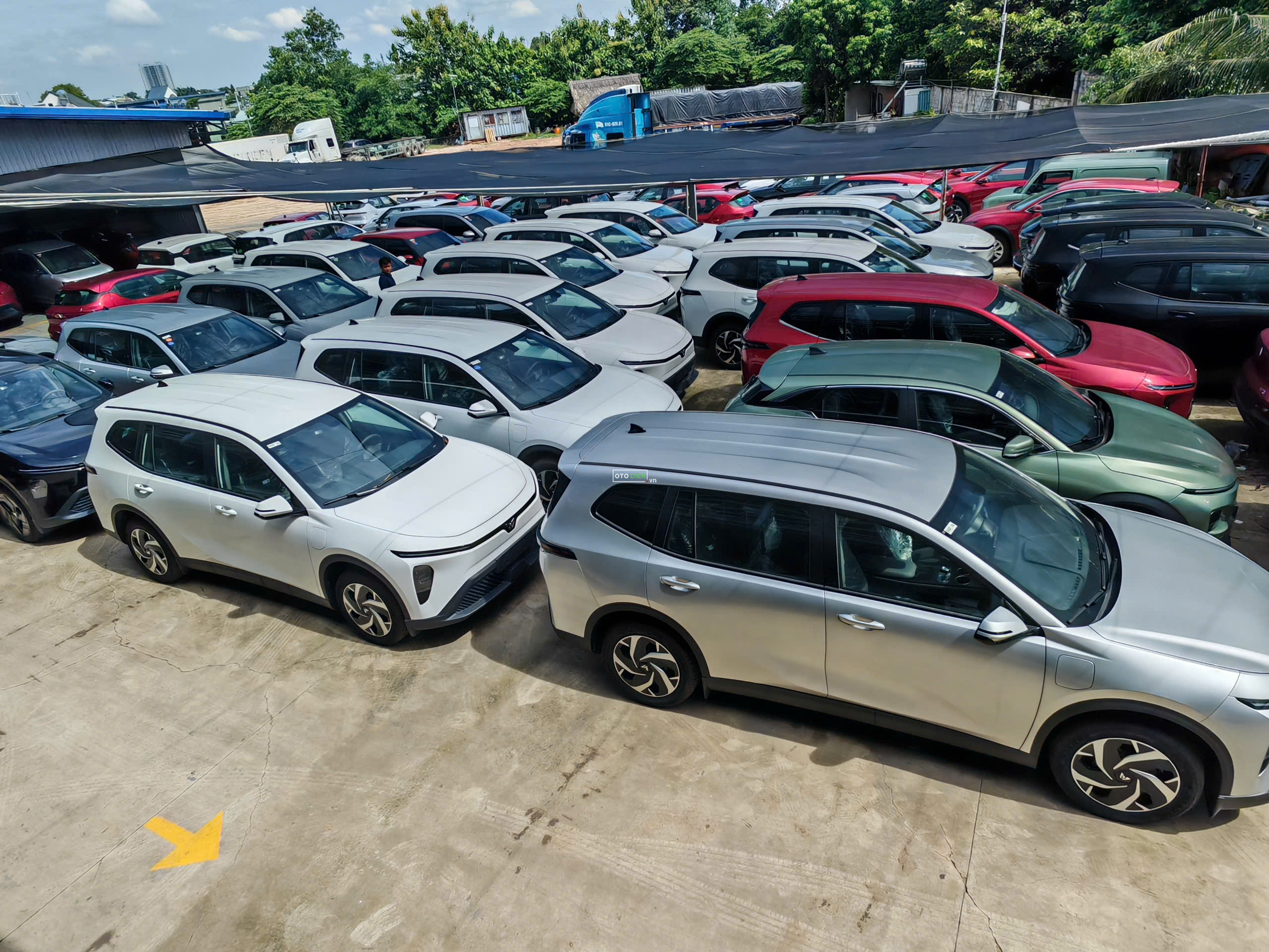 Vinfast Limo Green - Trắng - 2026 - Xe sẵn giao ngay2