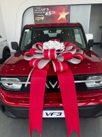 🎯 VINFAST VF 3 NEW 100% – HỖ TRỢ TRẢ GÓP, THỦ TỤC NHANH GỌN