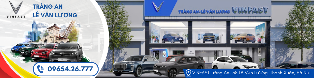 Dealer Banner