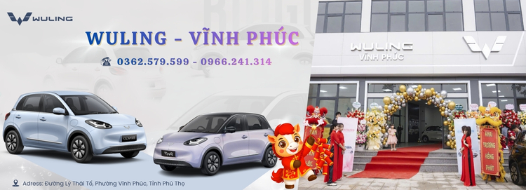 Dealer Banner