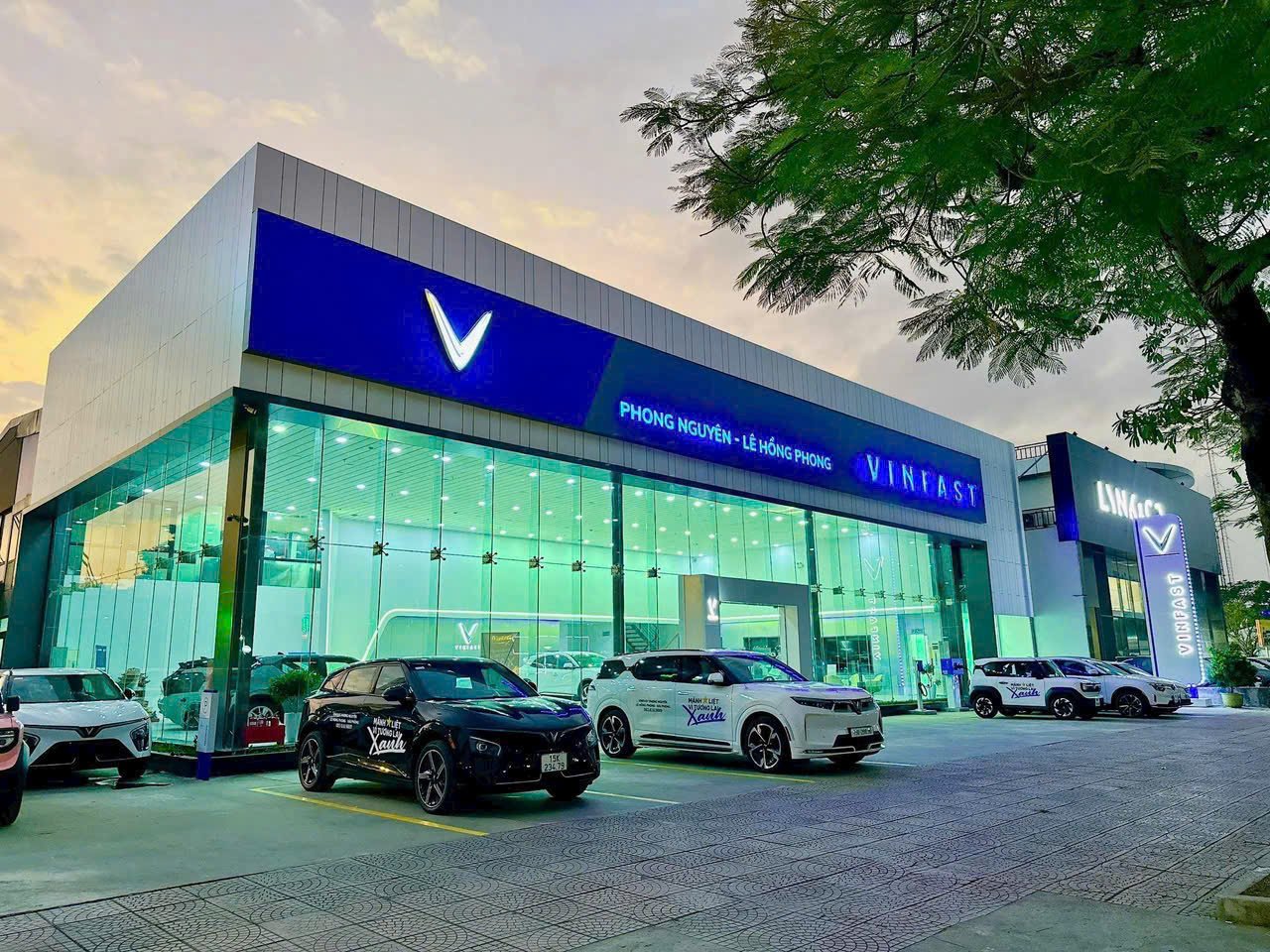 gallery của cửa hàng 0