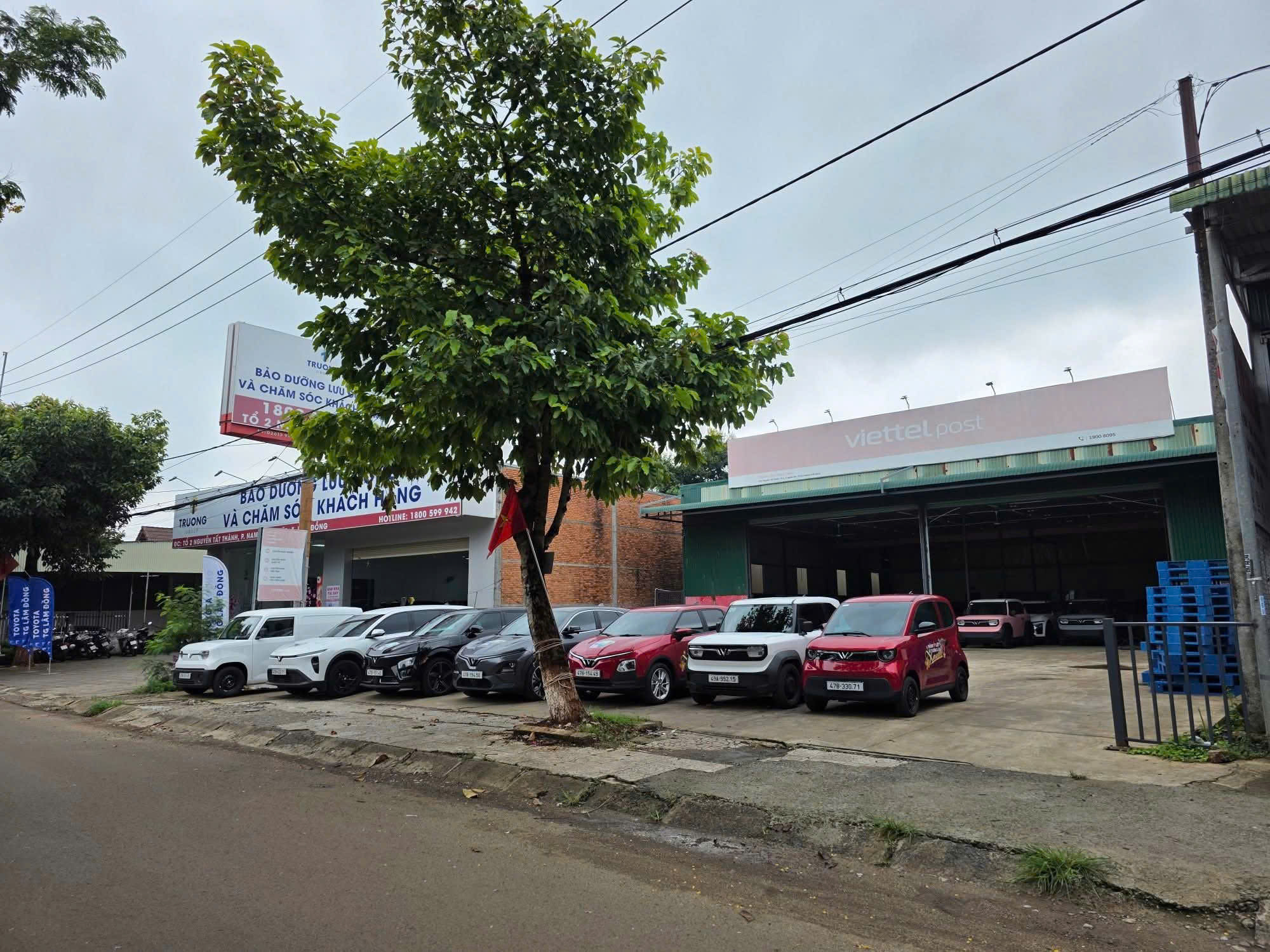 gallery của cửa hàng 0