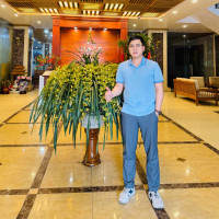 Bảo Minh Auto